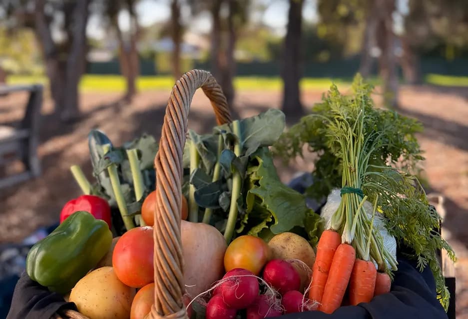 Basket of fresh vegetables at The Local Farmers Market
