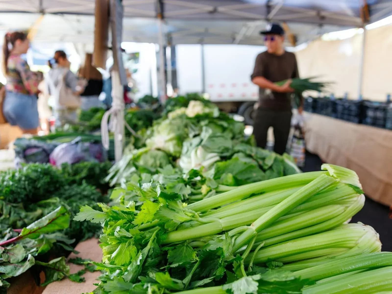 Celery, cauliflower and leafy greens on a produce stall at Jan Powers Farmers Markets