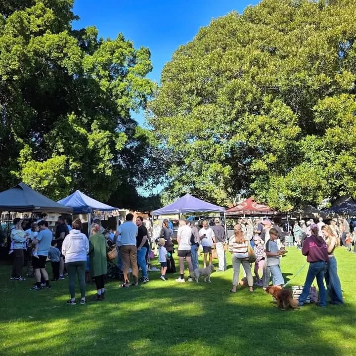 Crowds among the stalls under big trees at the Palmyra Western Farmers Market