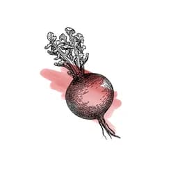 Devonport Farmers Market logo