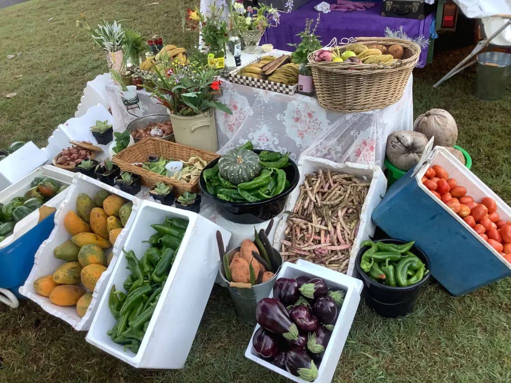 Fresh vegetables and fruit on a stall at the Yungaburra Markets