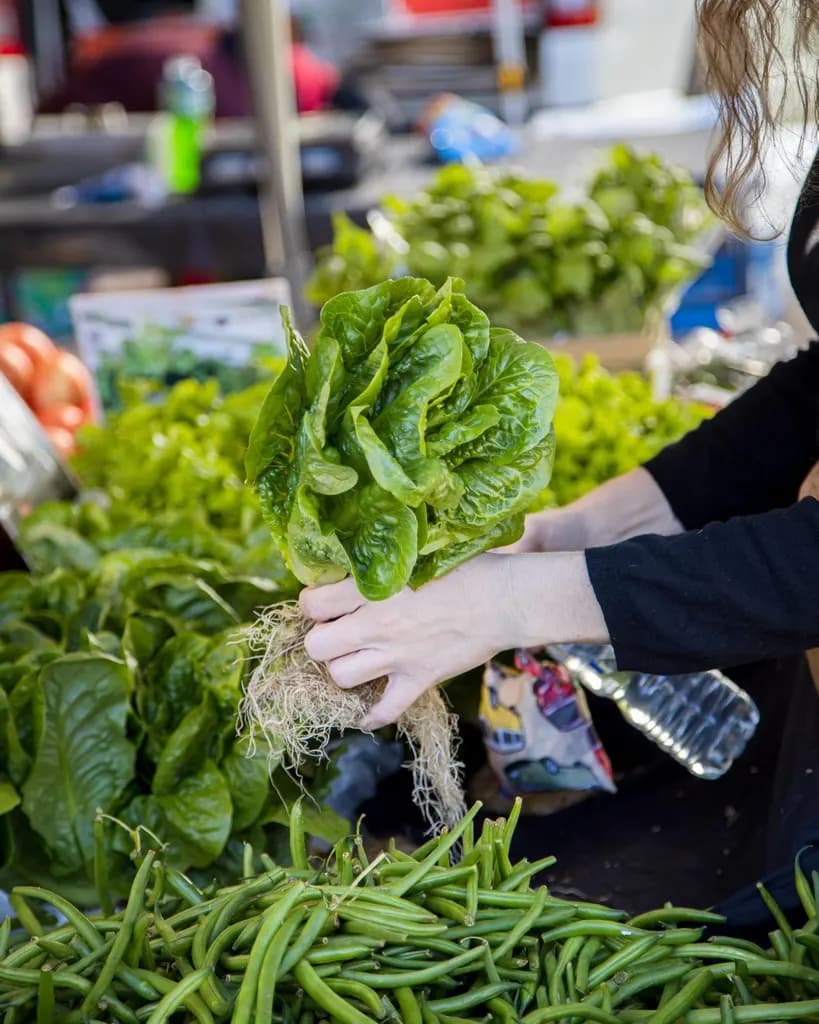 Lettuce and green beans on a stall at The Carseldine Farmers and Artisan Markets