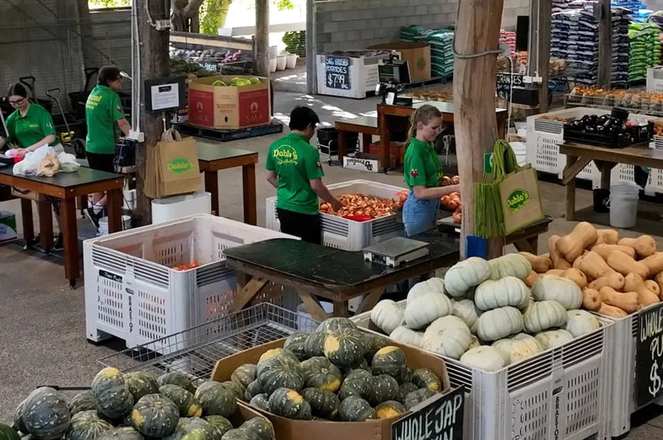 Pumpkins and produce in bulk bins inside the Doblo's shed