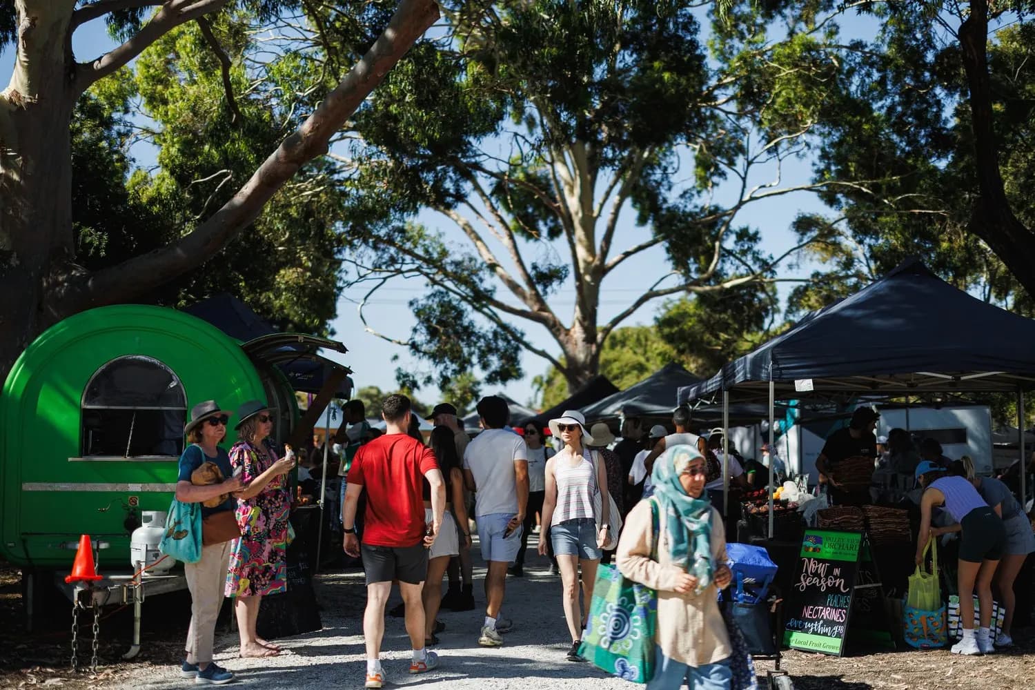 Shoppers among the stalls under gum trees at Manning Road Farmers Market