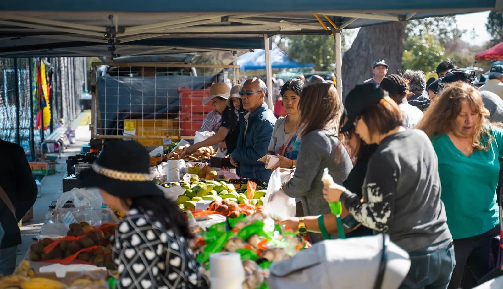 Shoppers at a produce stall at Mirrabooka Friday Market