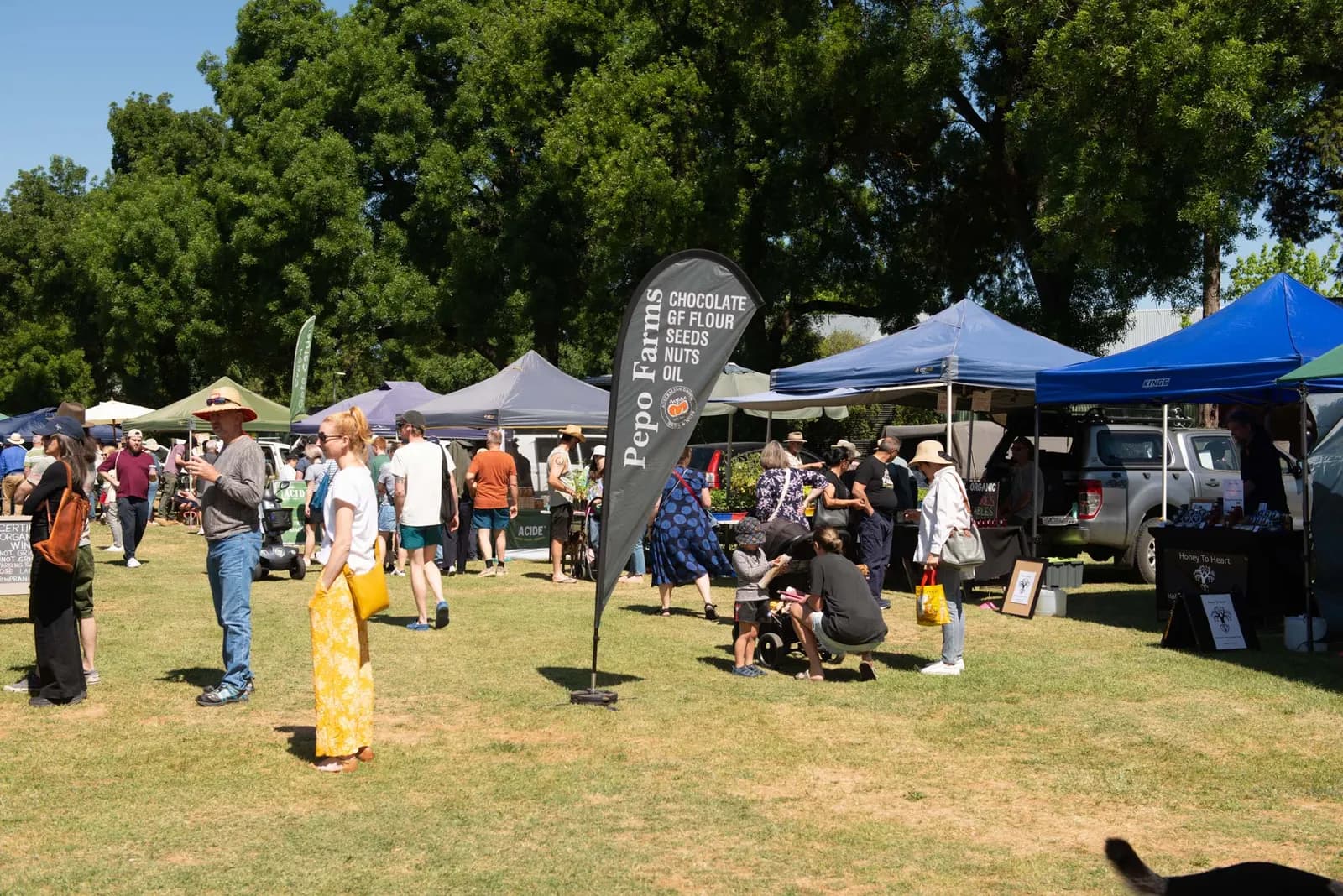 Stalls on the grass at Castlemaine Farmers Market