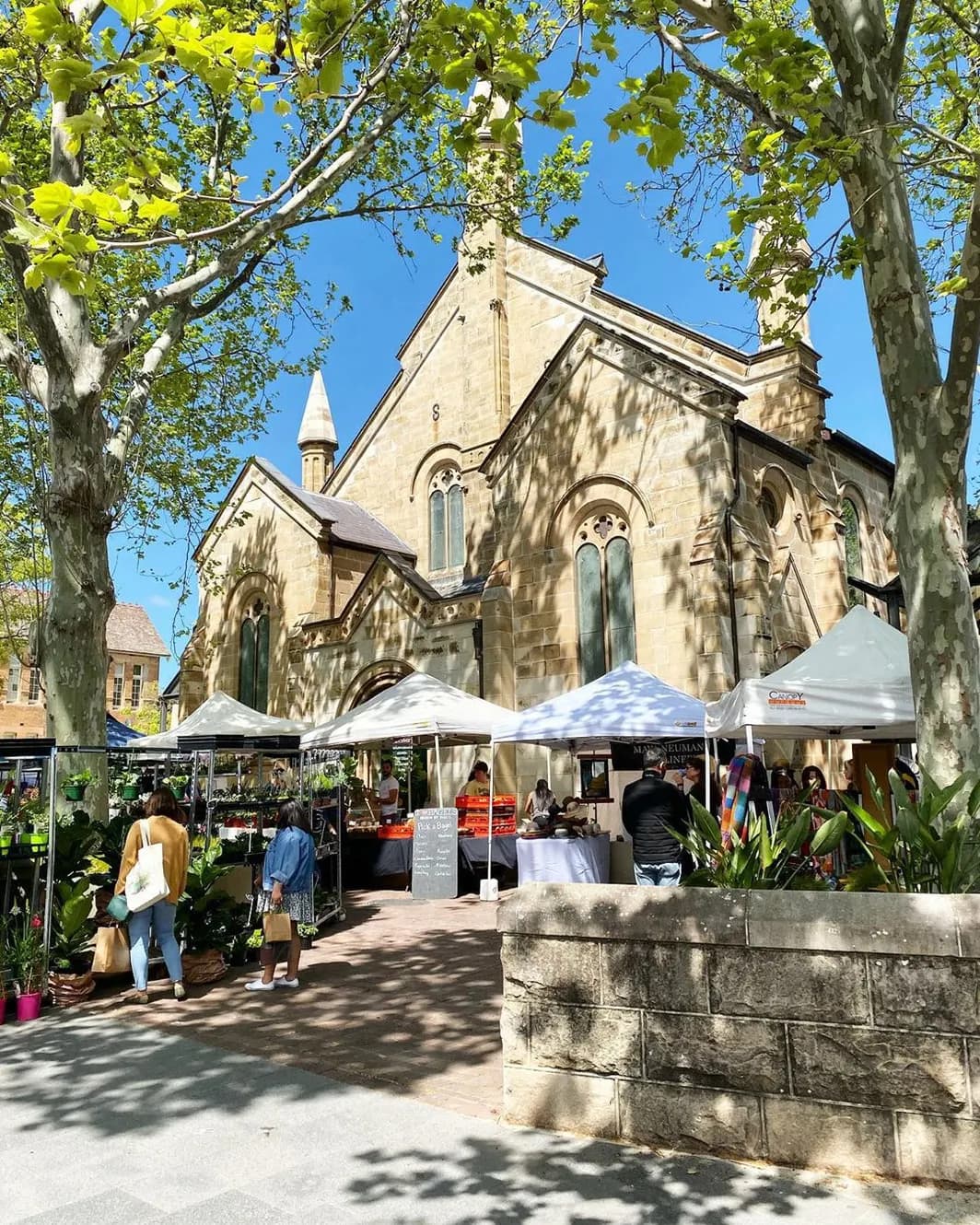 Stalls under white umbrellas in the church grounds at Paddington Markets
