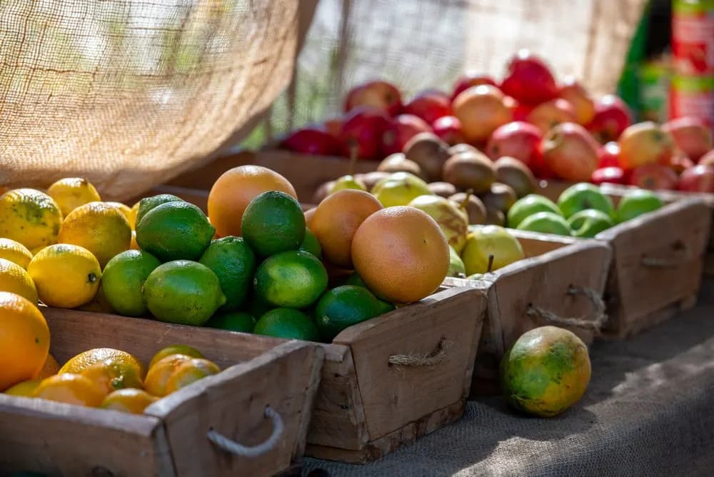Wooden crates of limes, oranges and tomatoes on a market stall